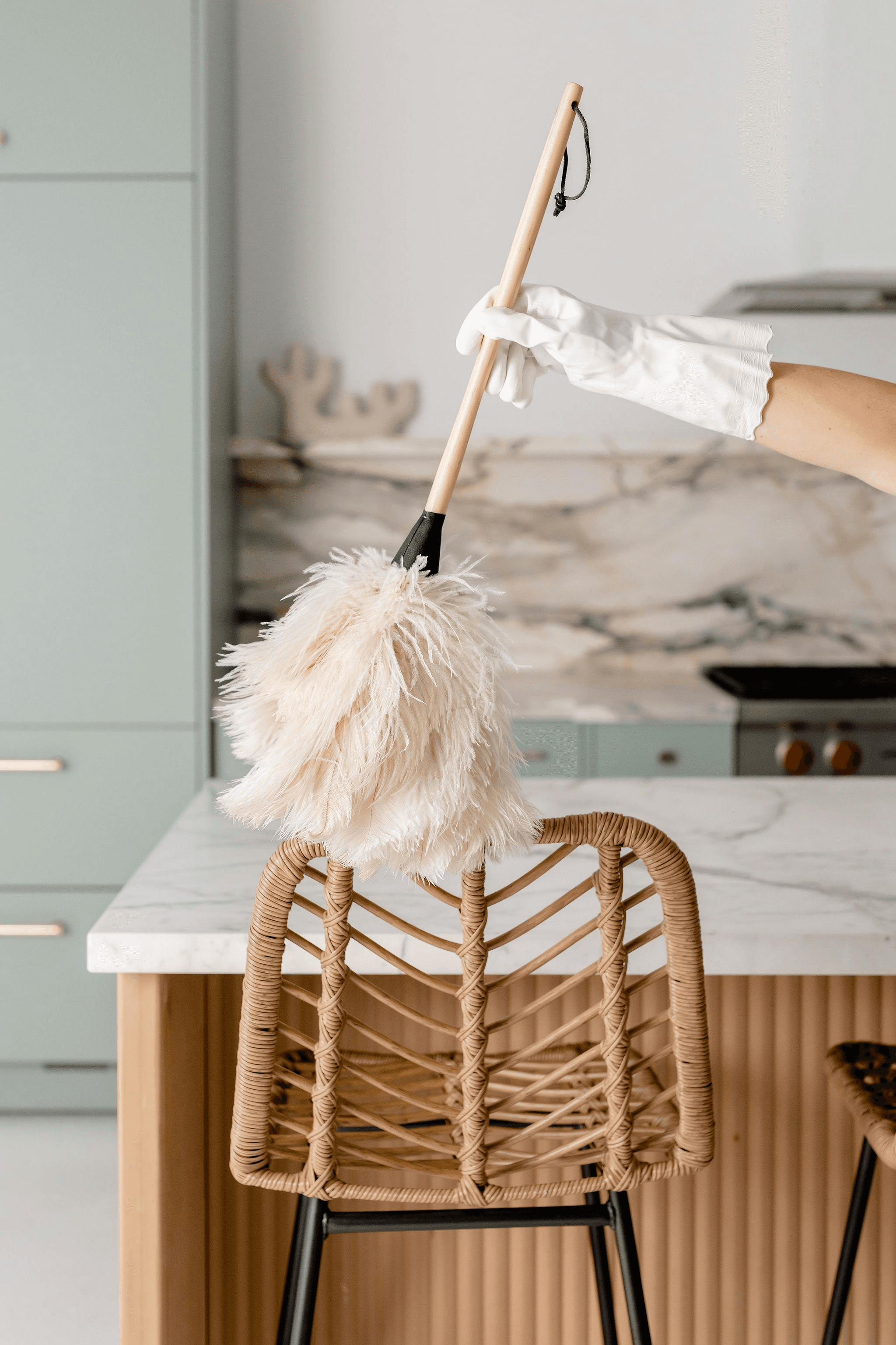 Professional cleaning team
